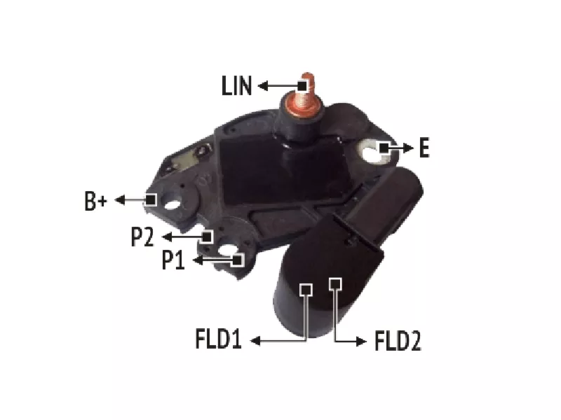 RNV 599077          